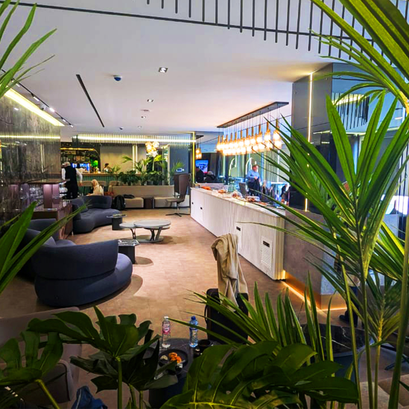 Photo 3.1_0.88787300-1762850805.jpg