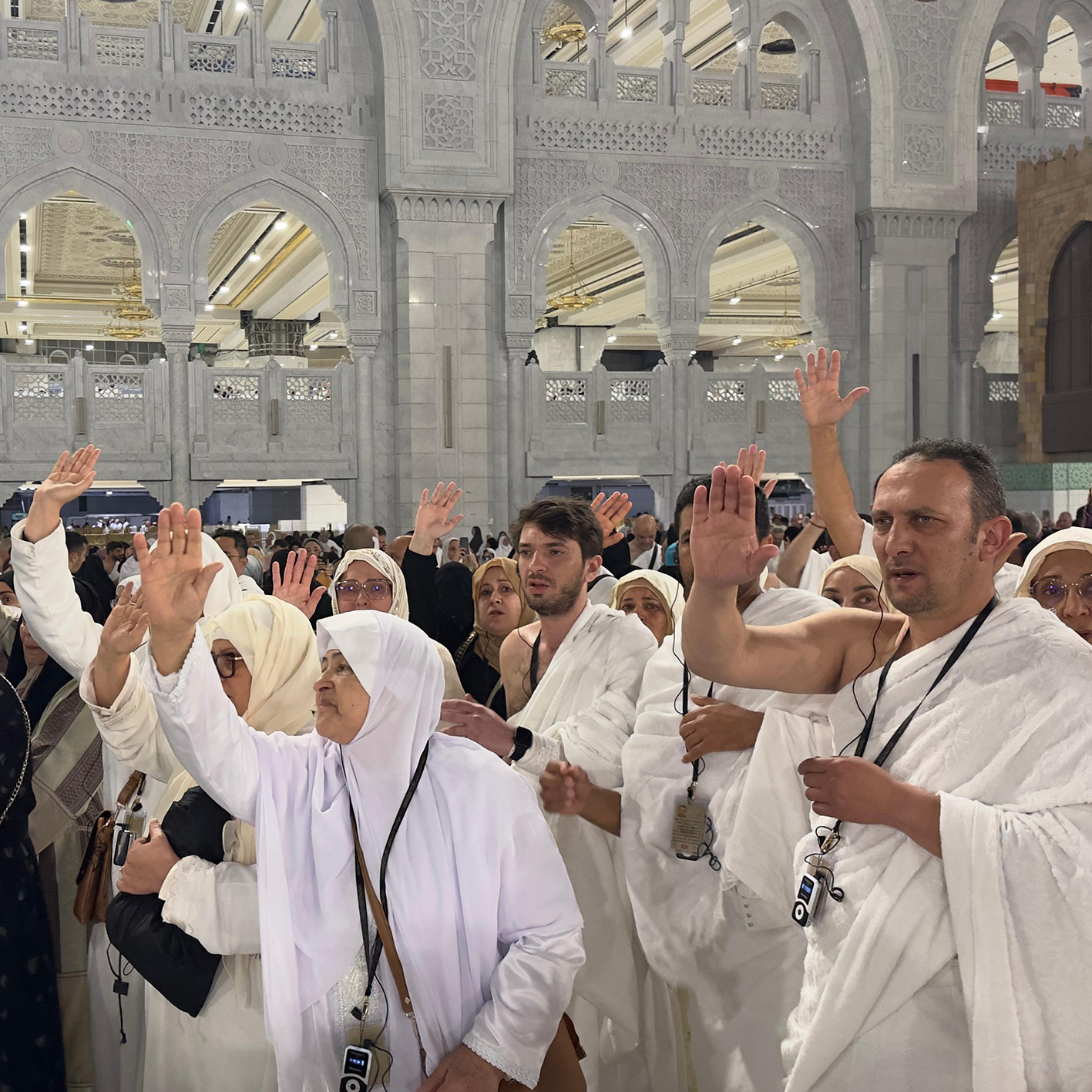 Photo 4_0.80593400-1762870884.jpg