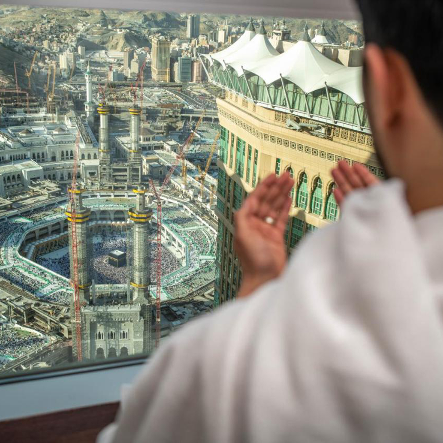 Photo 4_0.89105200-1763030123.jpg